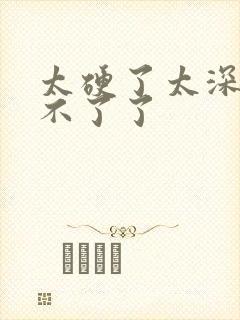 太硬了太深了受不了了封面