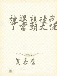 被退亲后我嫁给了当朝大佬 小说