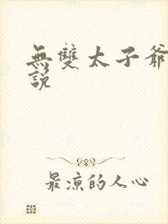 无双太子爷 小说
