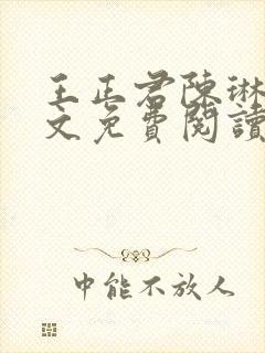 王正君陈琳洁全文免费阅读最新章节封面