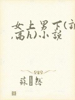 女上男下(调教,高h)小说封面