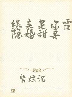 缘来是你霍少的隐婚甜妻