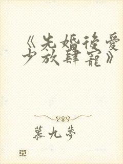 《先婚后爱:沈少放肆宠》小说