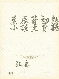 叶辰萧初然有声小说免费听