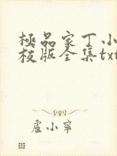 极品家丁小说精校版全集txt