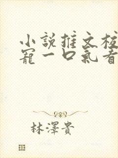 小说推文校园甜宠一口气看完