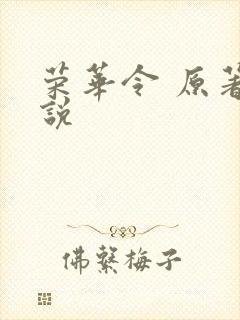 荣华令 原著小说