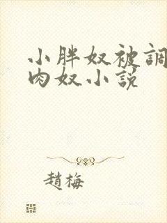 小胖奴被调教成肉奴小说