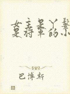 女主是丫鬟男主是将军的小说