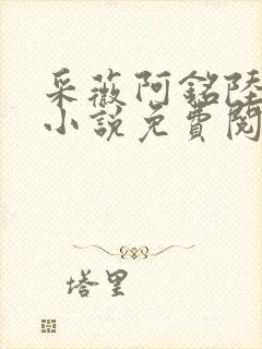 采薇阿铭陆三平小说免费阅读封面