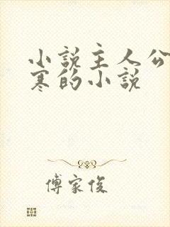 小说主人公叫夜寒的小说