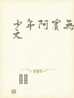 少年阿宾无删全文