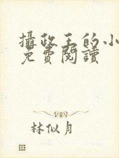 摄政王的小闲妻免费阅读