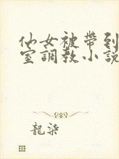 仙女被带到乳刑室调教小说