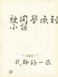 被同学操到高潮小说