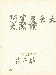 阿宾房东太太全文阅读