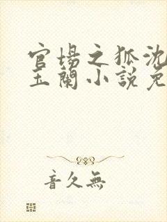 官场之狐沈荡赵玉兰小说免费阅读封面