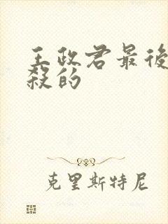 王政君最后被谁杀的封面