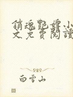 销魂艳婢小说全文免费阅读