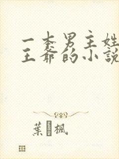 一本男主姓萧是王爷的小说封面