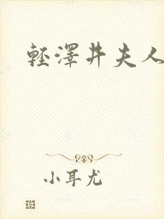 轻泽井夫人封面