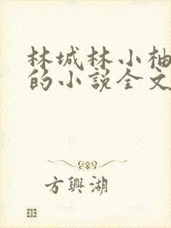 林城林小柚父女的小说全文阅读