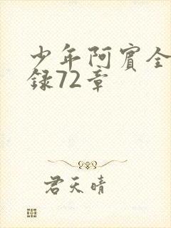 少年阿宾全文目录72章