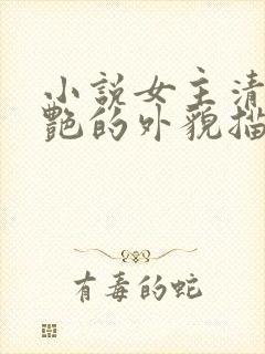 小说女主清冷惊艳的外貌描写