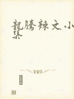 龙腾辣文小说合集封面