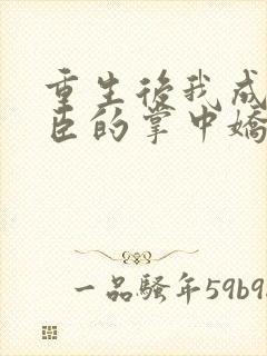 重生后我成了权臣的掌中娇类似