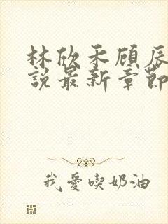 林欣禾顾辰昀小说最新章节免费阅读封面