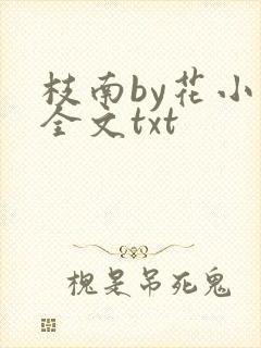 枝南by花小喵全文txt