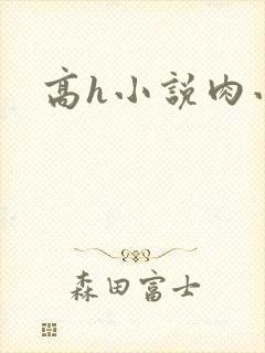 高h小说肉小说封面