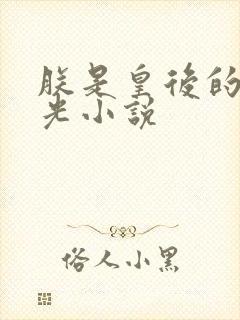 朕是皇后的黑月光小说封面