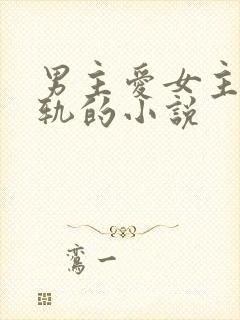 男主爱女主却出轨的小说