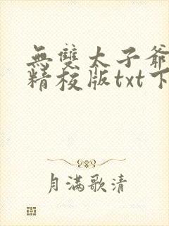 无双太子爷完本精校版txt下载