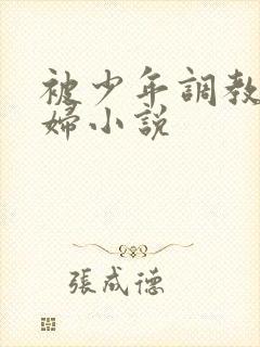 被少年调教的熟妇小说封面