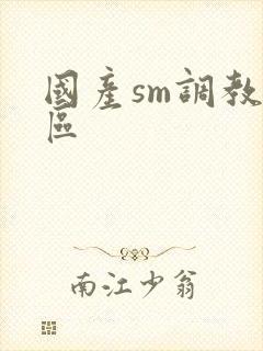 国产sm调教一区