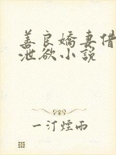 善良娇妻借老头泄欲小说封面