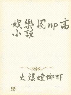 娱乐圈np高h小说