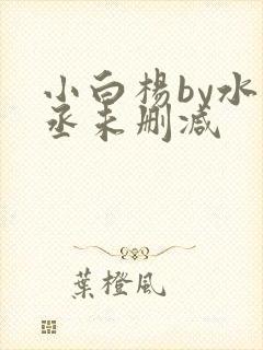小白杨by水千丞未删减