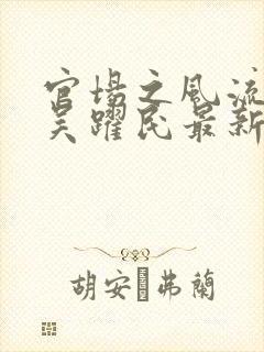 官场之风流医少吴跃民最新章节在线阅读封面
