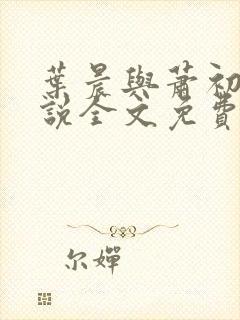 叶晨与萧初然小说全文免费阅读全部封面