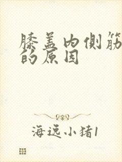 膝盖内侧筋疼痛的原因封面