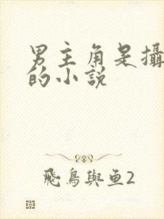 男主角是摄政王的小说