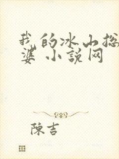 我的冰山总裁老婆 小说网