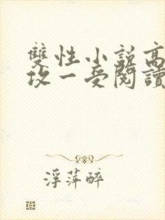 双性小说高h多攻一受阅读