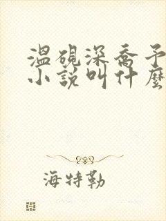 温砚深乔予安的小说叫什么