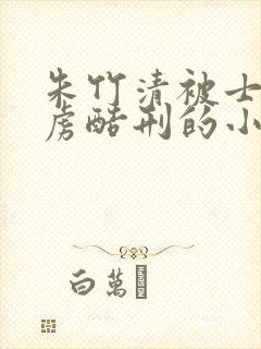 朱竹清被士兵俘虏酷刑的小说叫什么