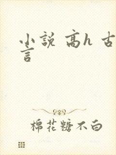 小说 高h 古言